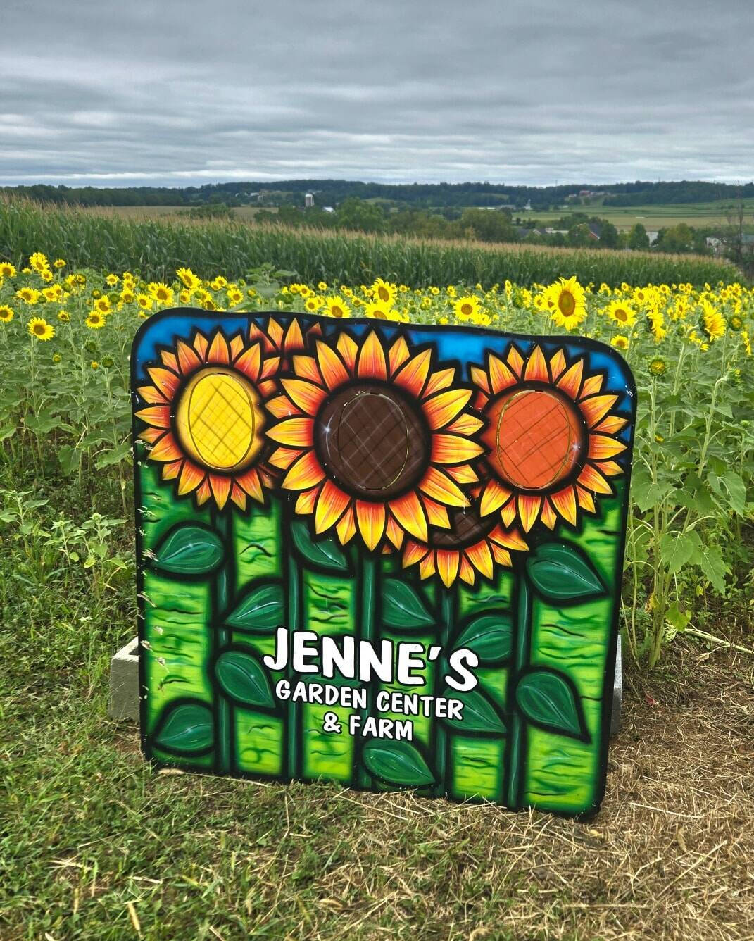 U-Pick Sunflower Field Myerstown, PA | Lebanon County Sunflower